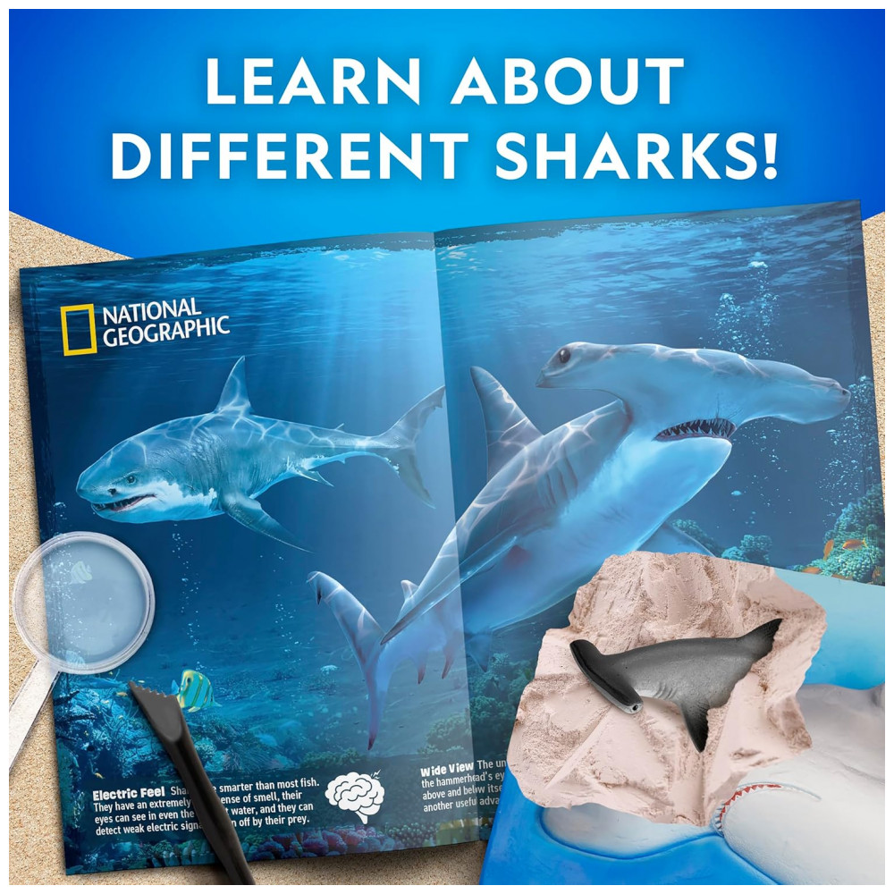 ECTQZGH689GD0B_2-1.jpg - Kit de Escavação de Tubarões – Brinquedo Educativo STEM Presente Criativo para Crianças National Geographic